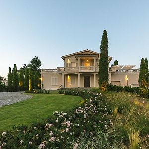 Ville Dei Medici